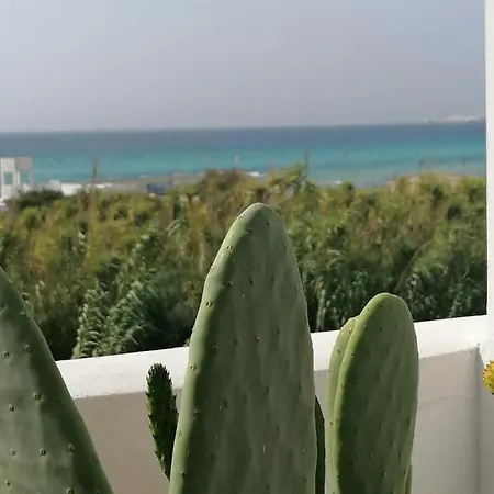 Attico Sant'andrea Apartmán *
